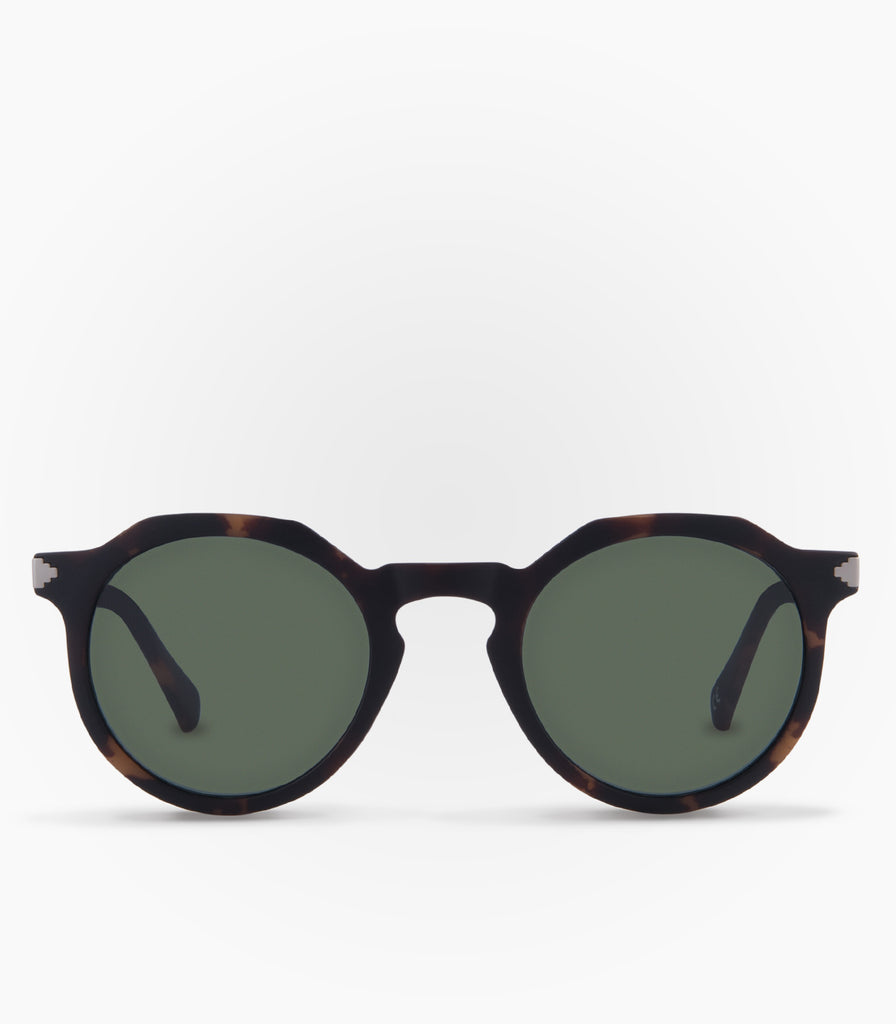 Sunglasses Pinguino Havana Brown - Karün Europe - Sunglasses